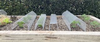 Stowaway Products: Your secret to successful seedling planting